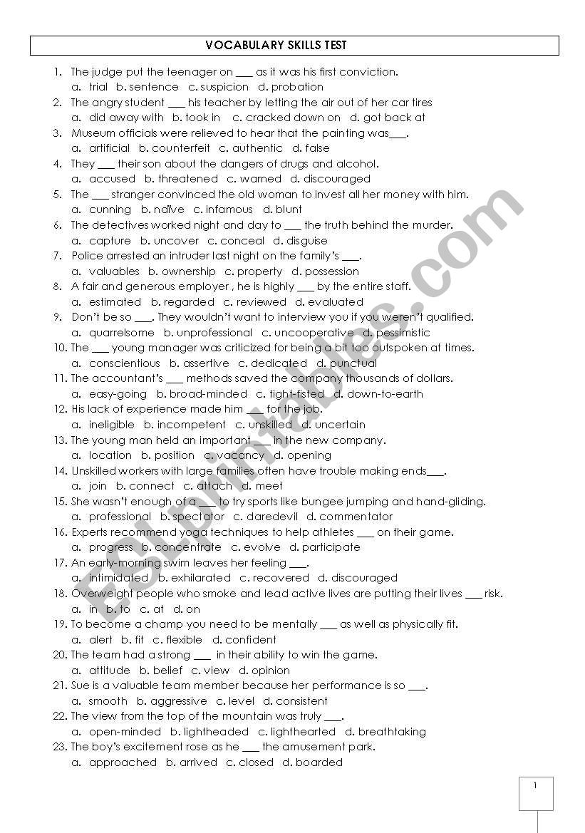 Advanced Vocabulary Test worksheet