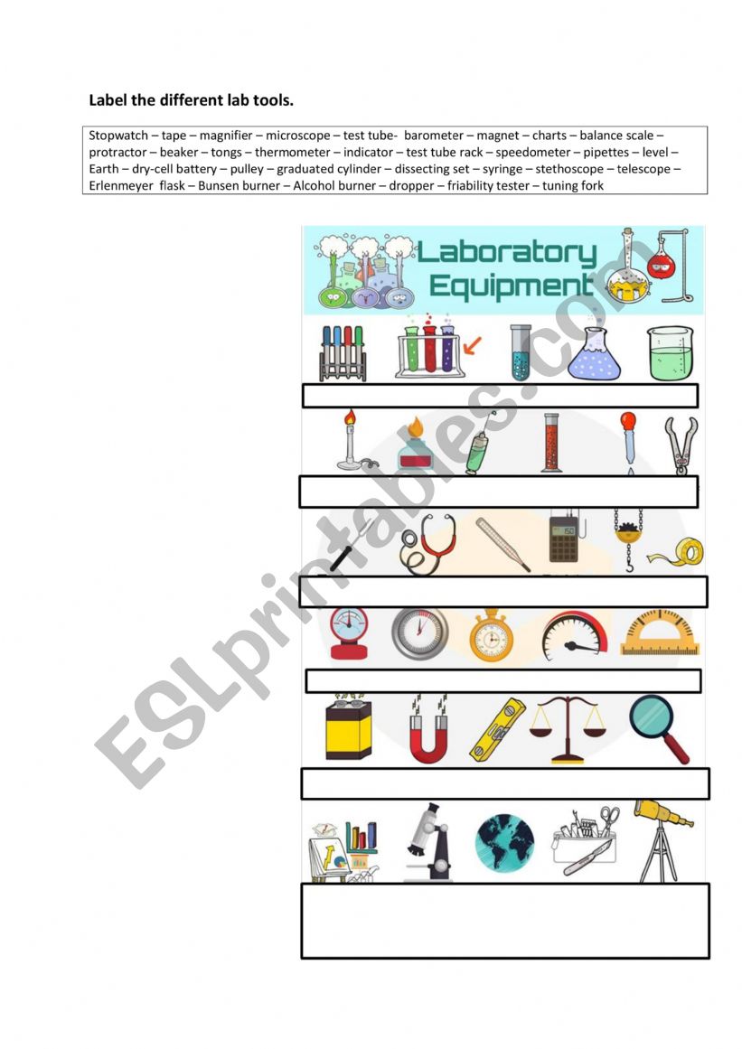 lab equipment worksheet