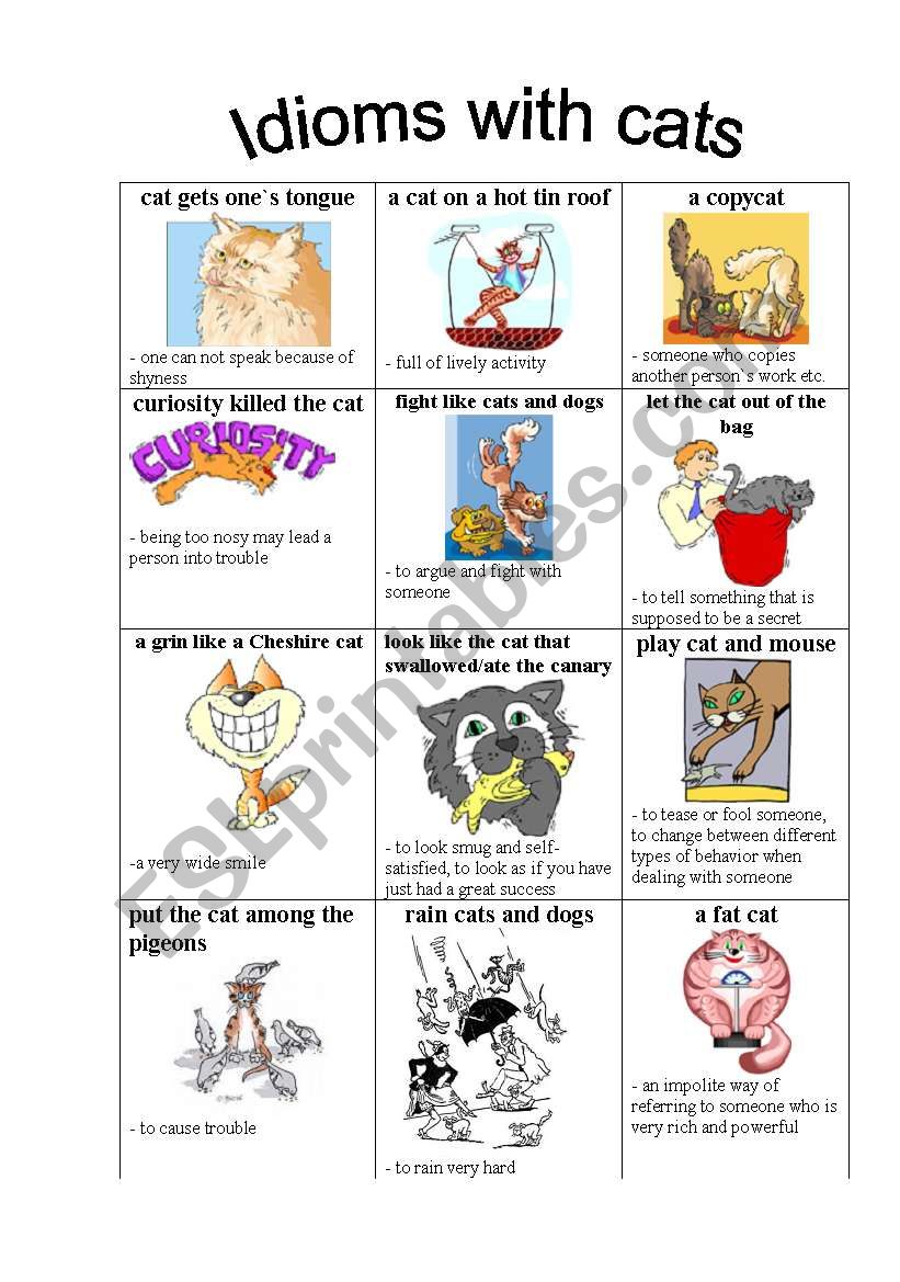 Idioms with cats - ESL worksheet by SpringFlower