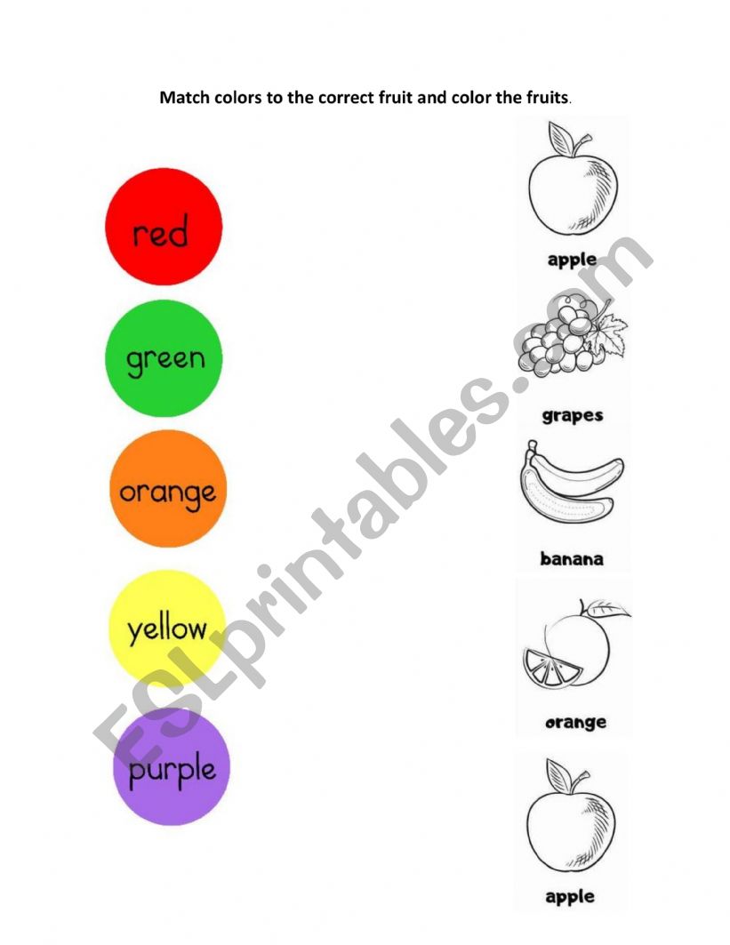 Adjective and nouns worksheet