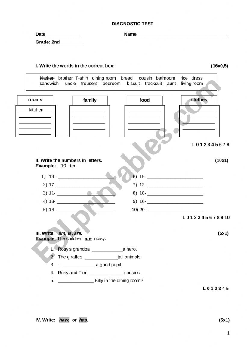 INITIAL DIAGNOSTIC TEST worksheet