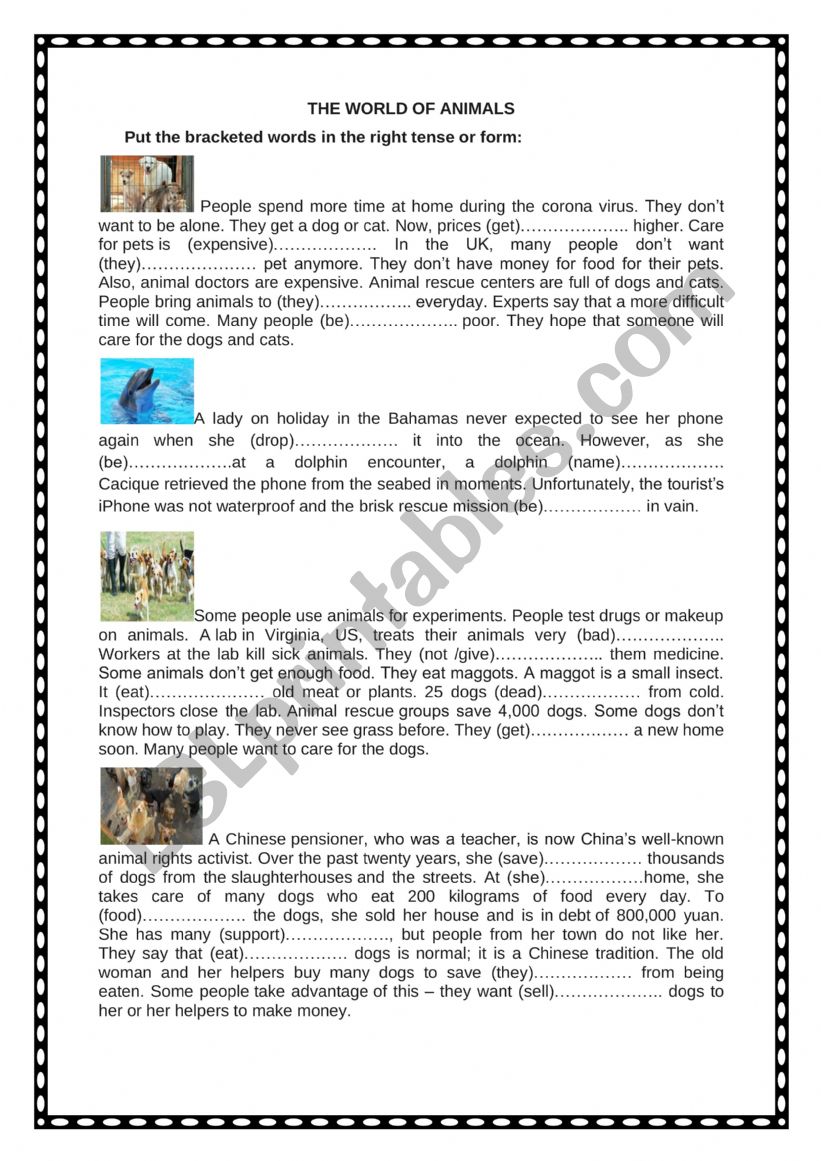 THE WORLD OF ANIMALS worksheet