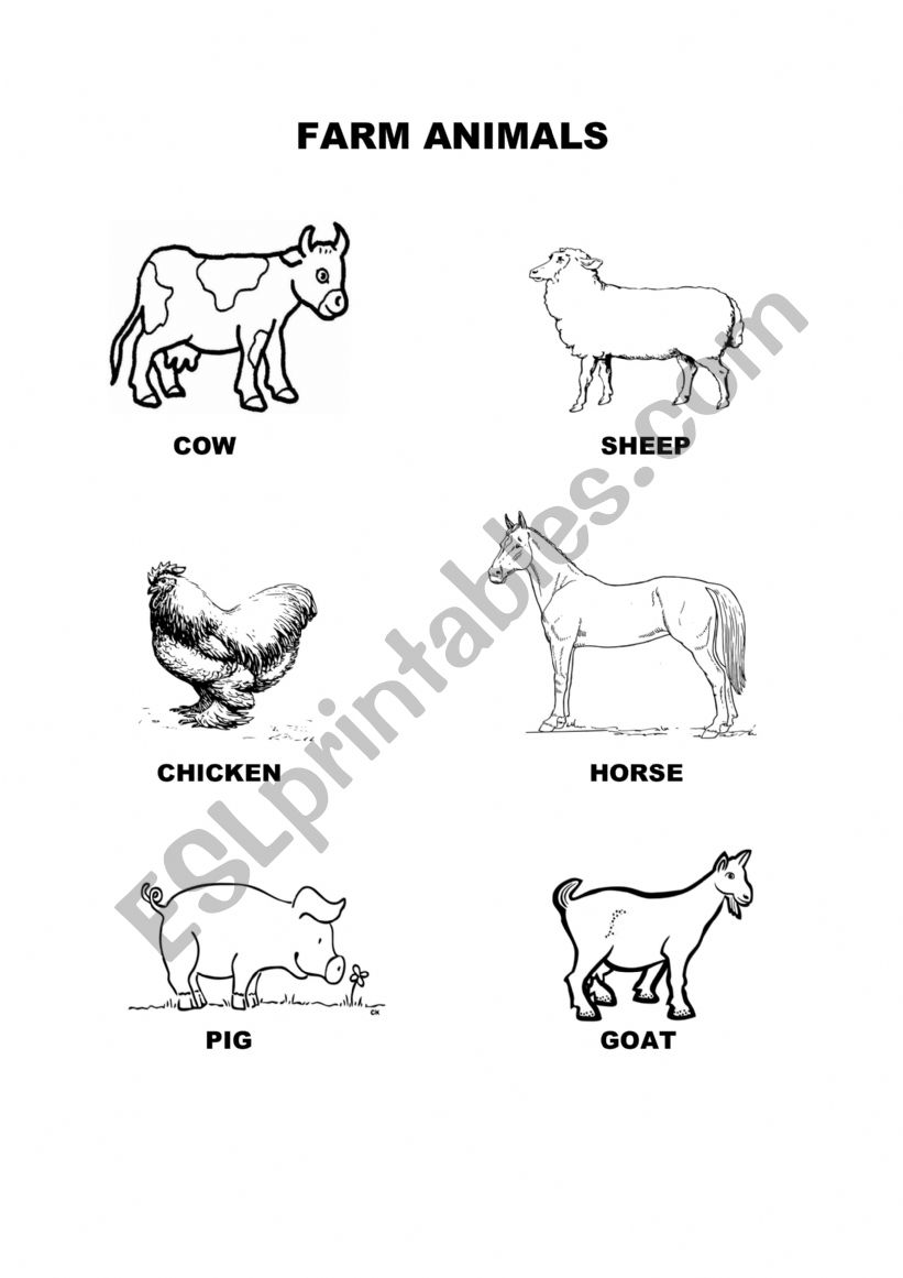 Farm Animals worksheet