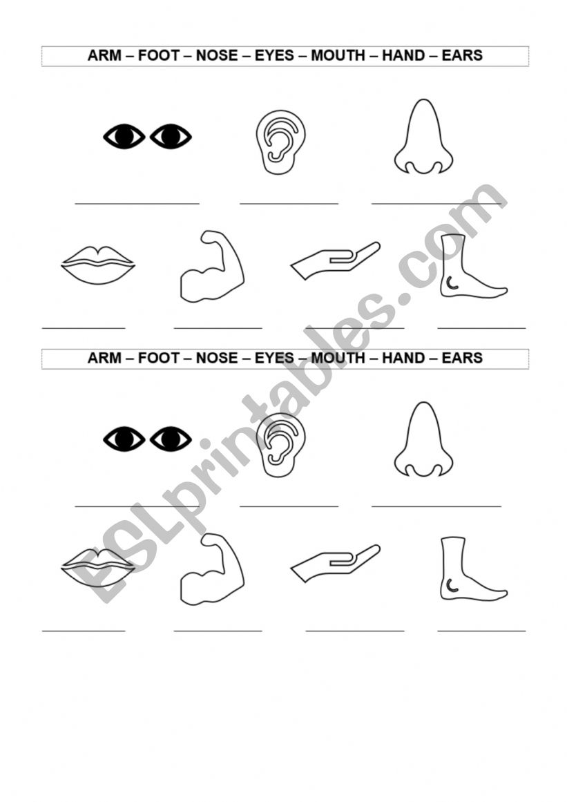 Parts Of The Body ESL Worksheet By Ariana0980 Parts Of The Body ESL Worksheet By Ariana0980