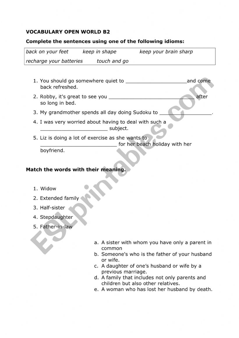 Idioms from OPEN WORLD B2 worksheet