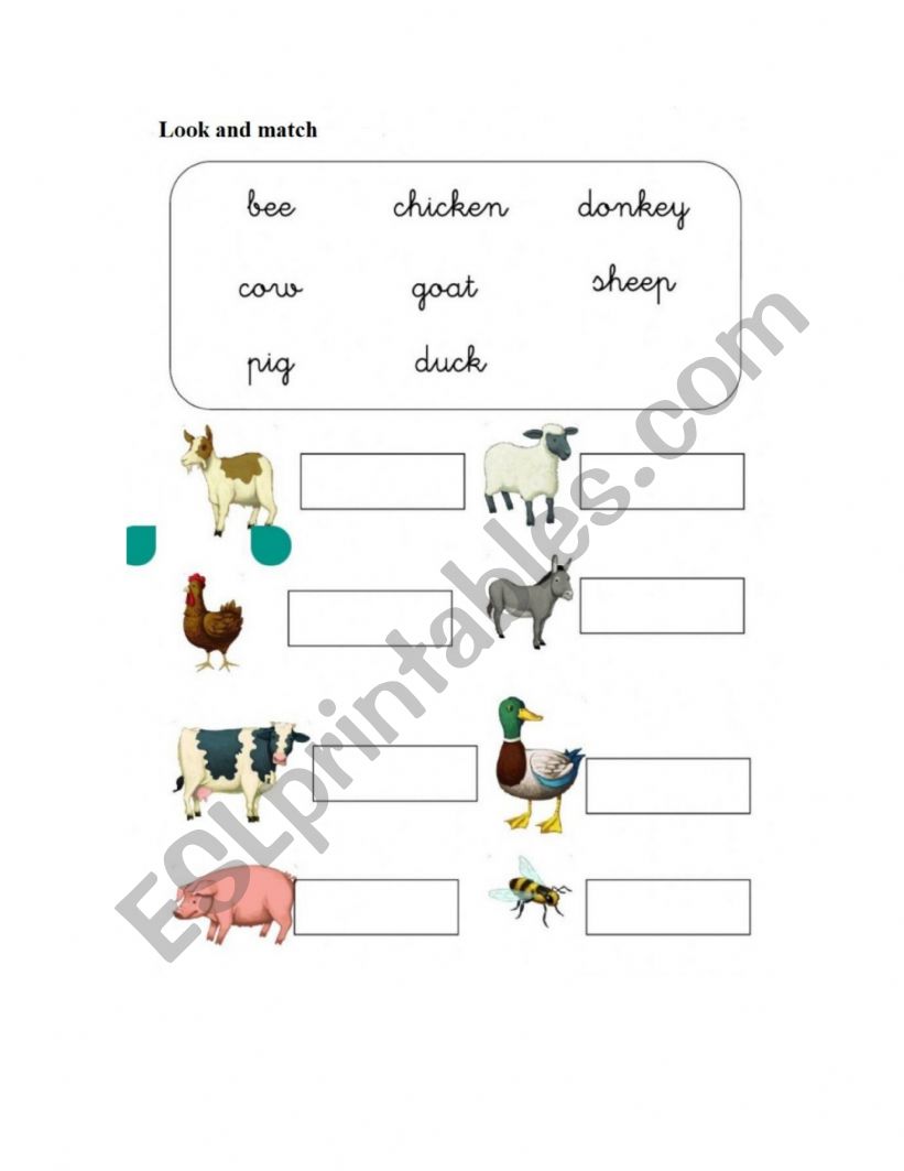 Animal Match worksheet
