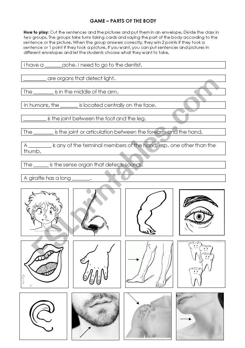 Game - Parts of the body worksheet