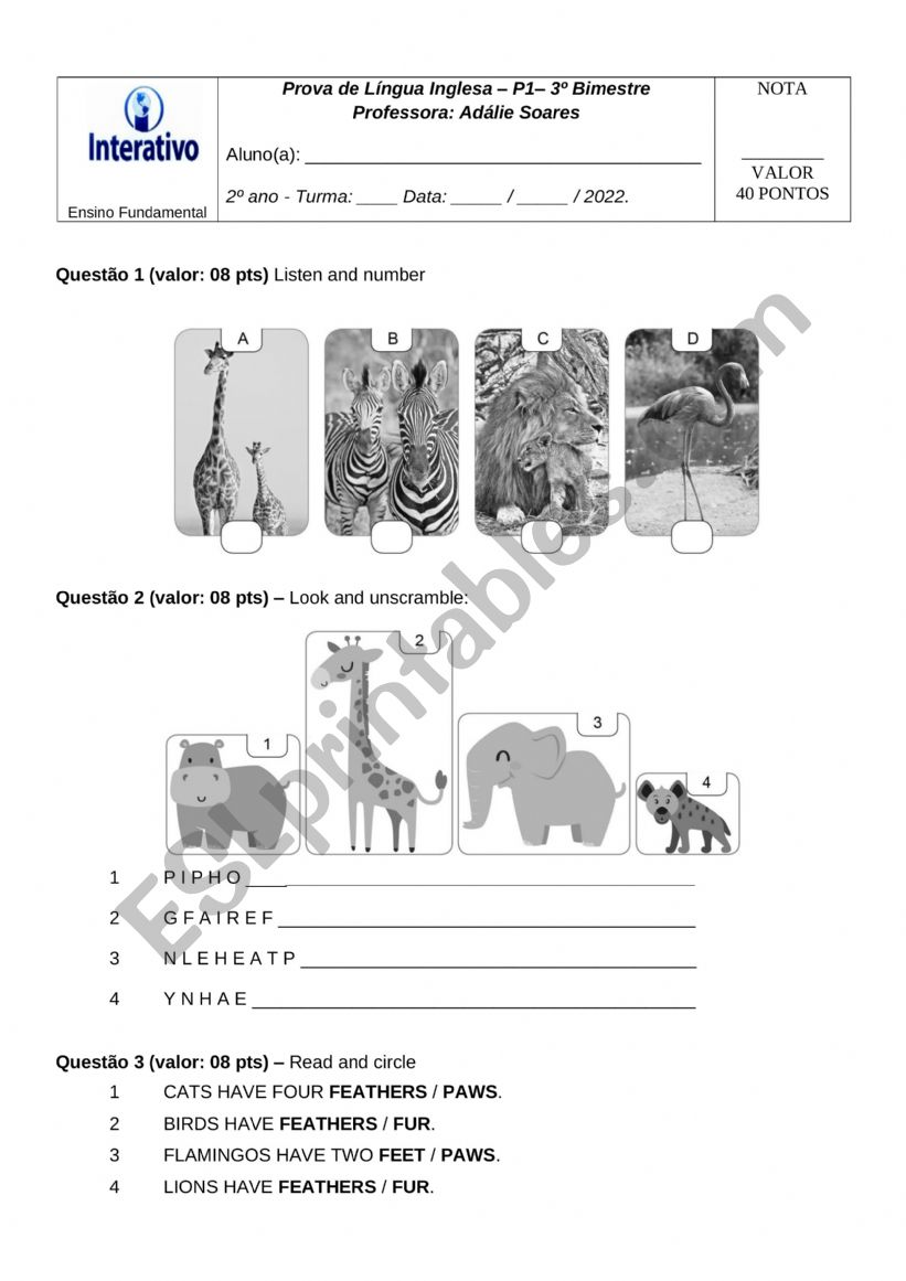 tests worksheet