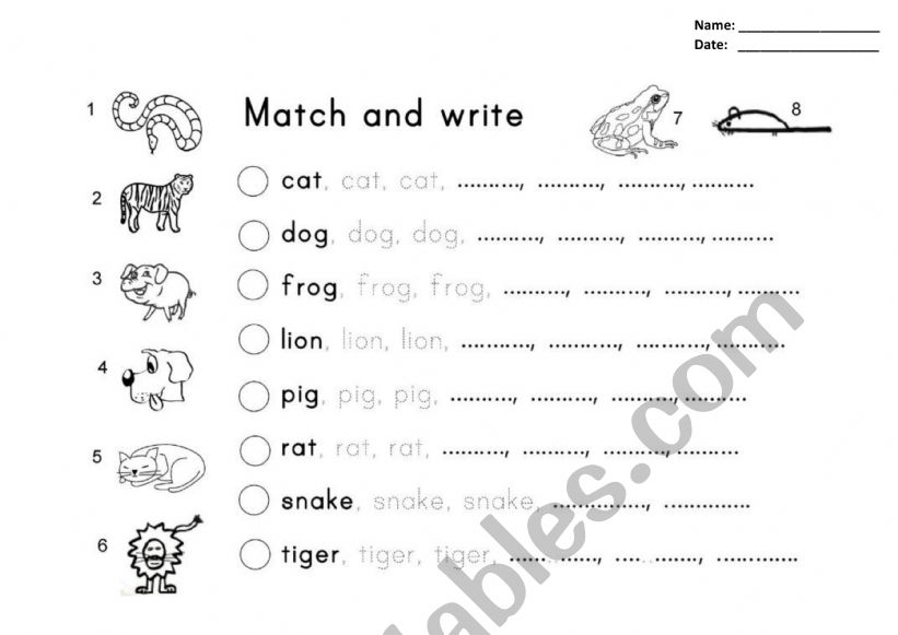 Kindergarden Animals worksheet