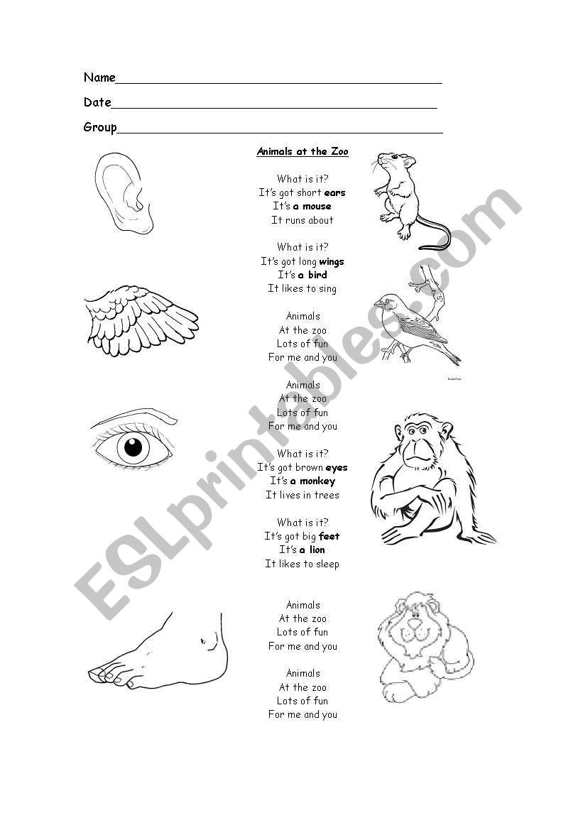 Animals at the zoo song  worksheet