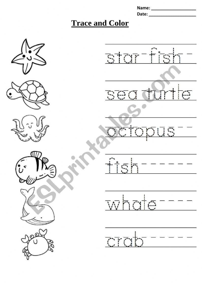 Animals worksheet