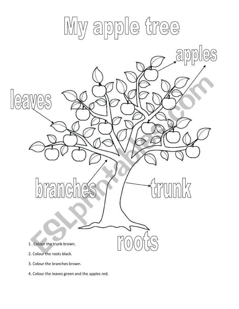My apple tree worksheet