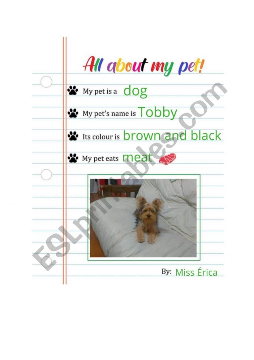 my pet worksheet