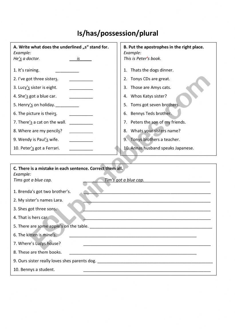 Possession Worksheet  worksheet