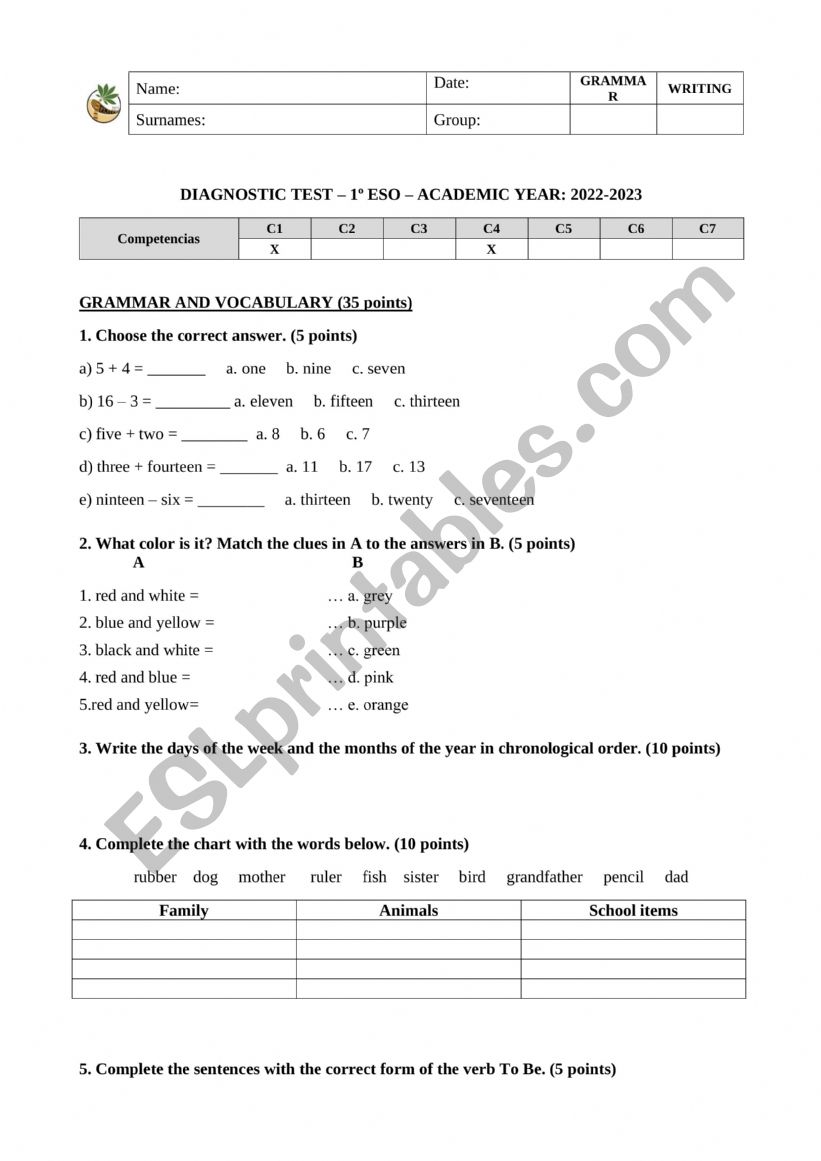 diagnostic test worksheet