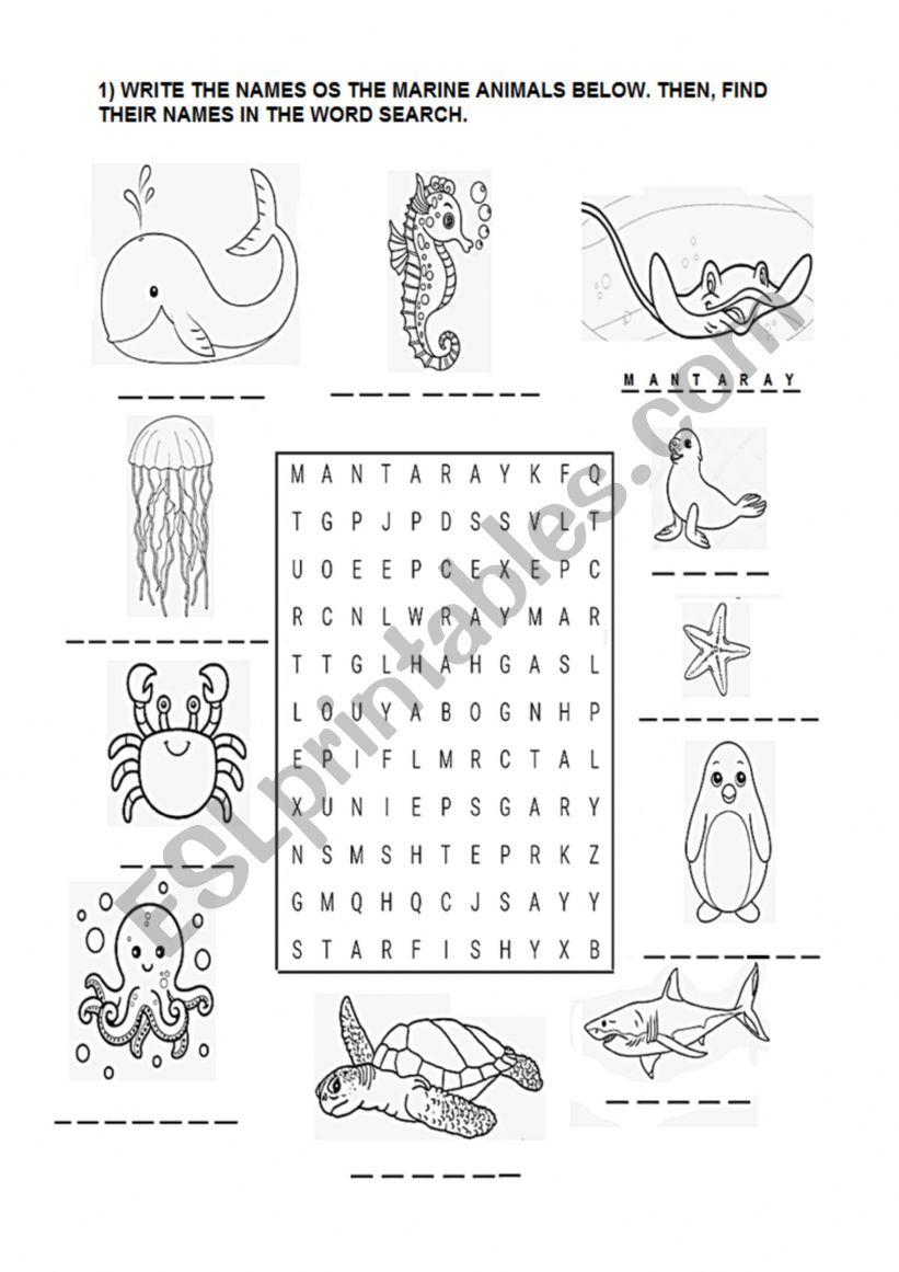 Sea Animals worksheet