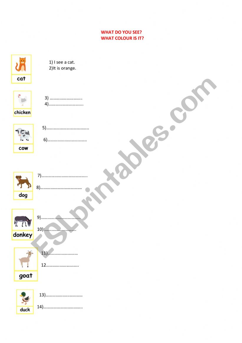 what do you see? worksheet