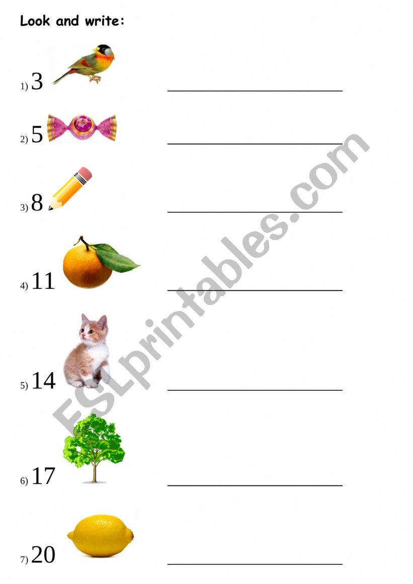 Look and write worksheet