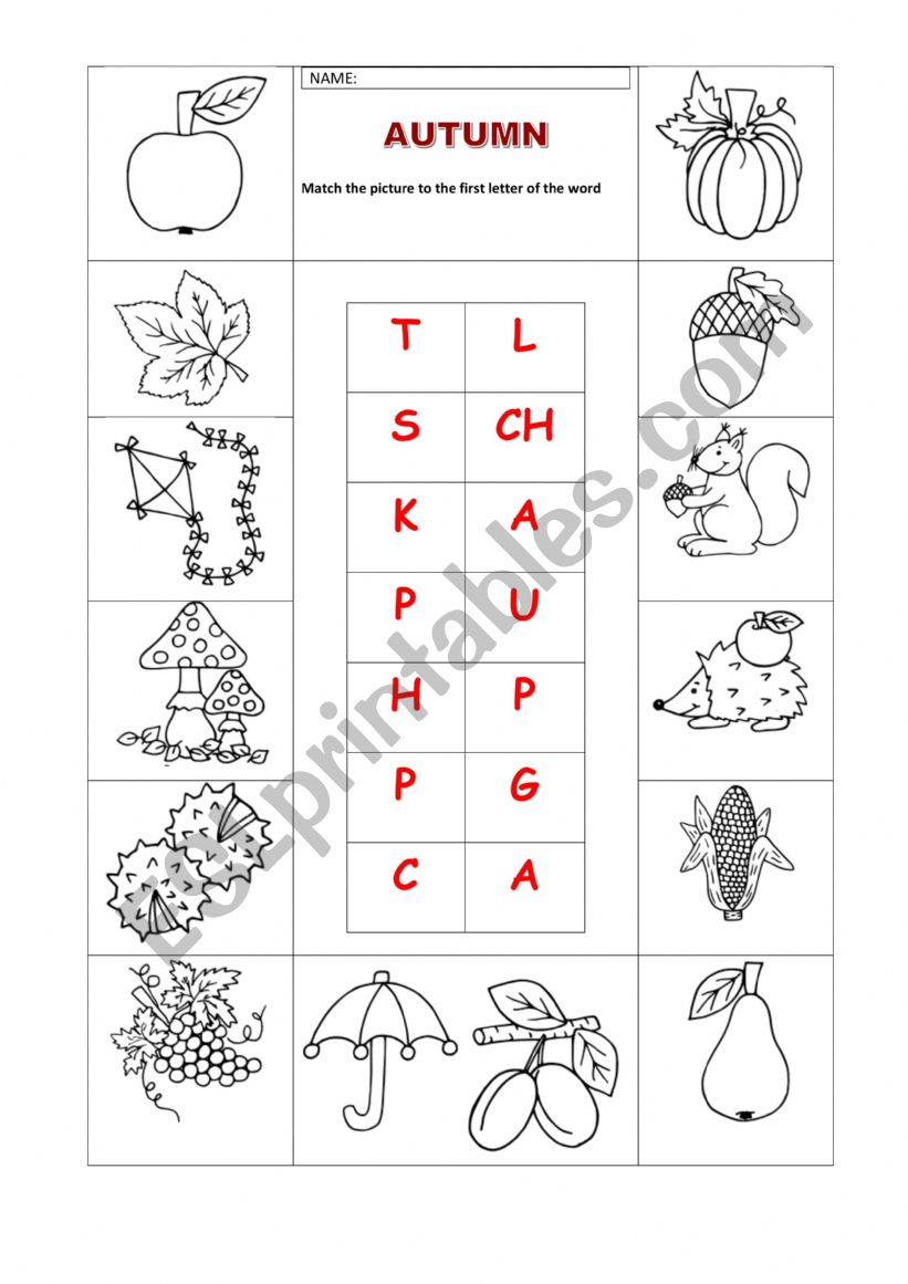 AUTUMN - ESL worksheet by Zdenaw