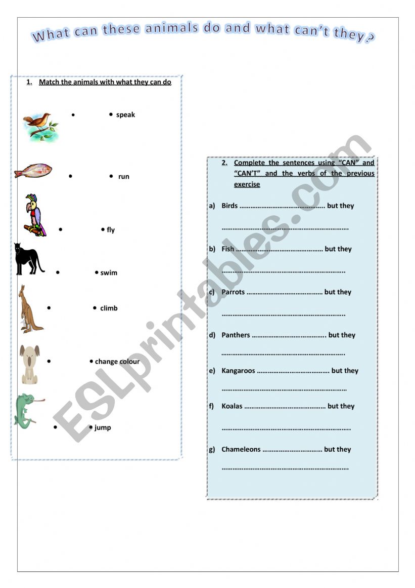What can animals do ? worksheet
