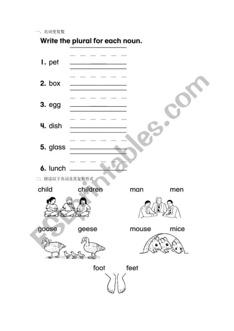 nouns and plural forms worksheet