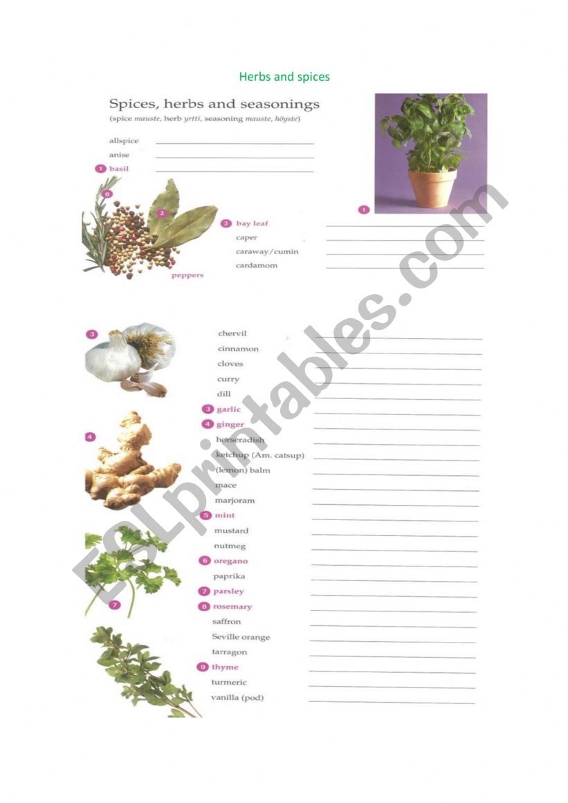 Herbs and spices worksheet