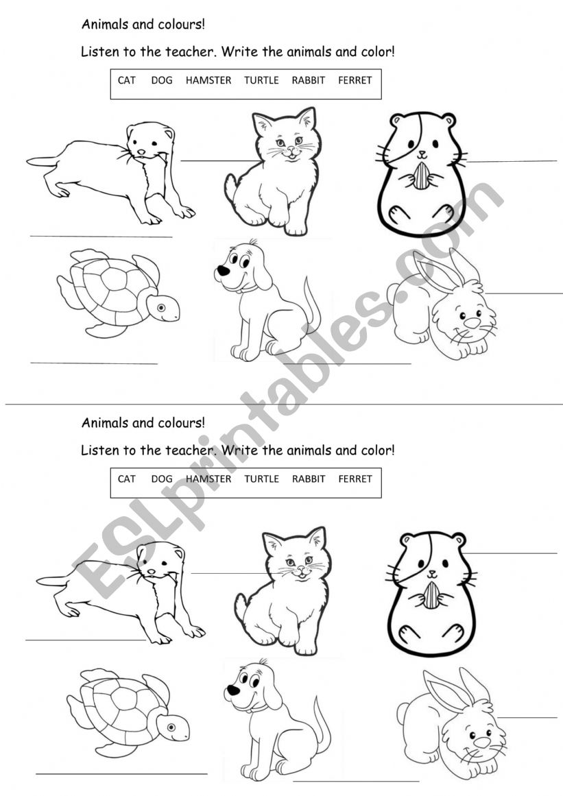 Animals and colours worksheet