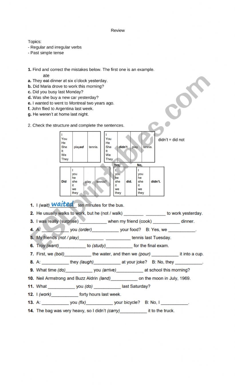 PAST TENSE REVIEW worksheet