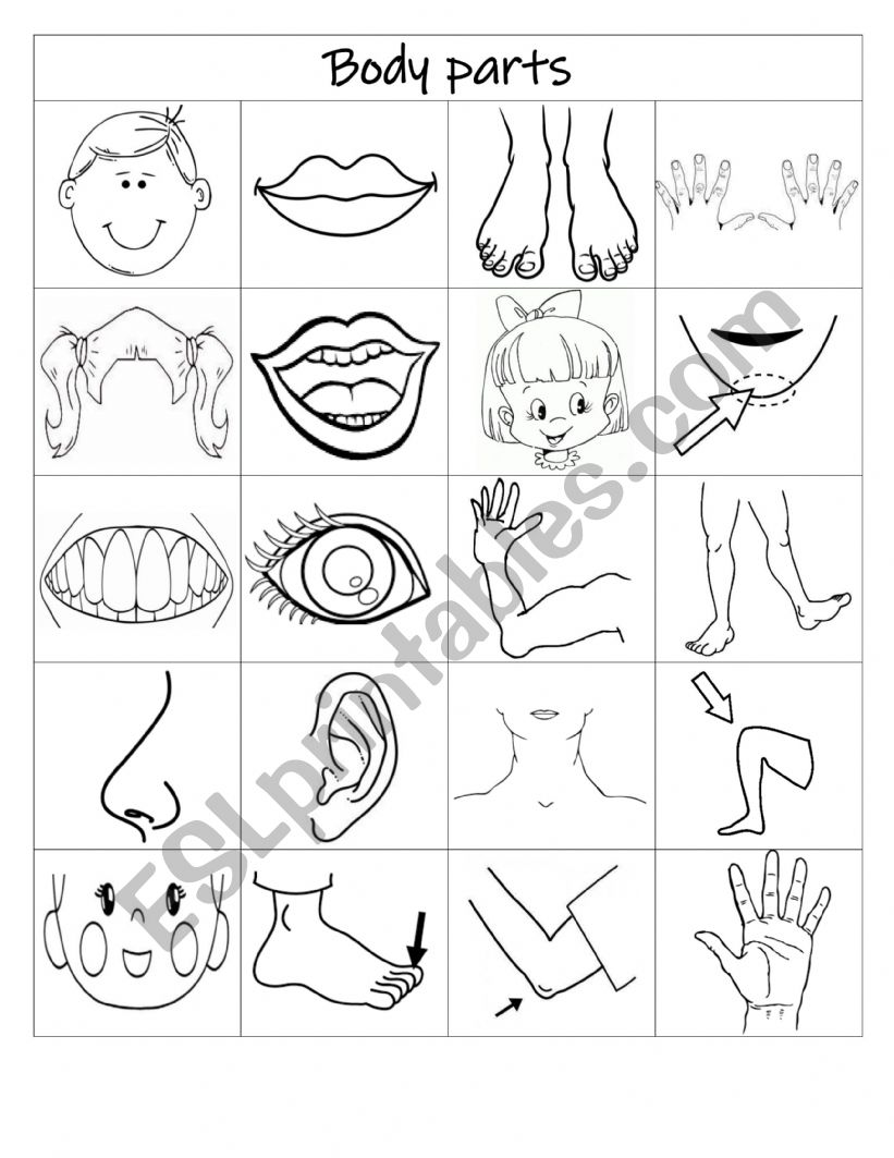 Body Parts worksheet