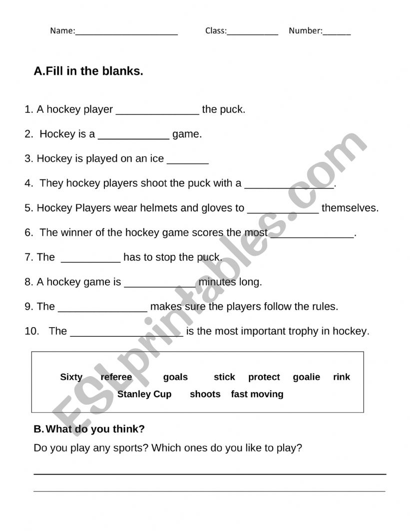 Hockey Activities worksheet