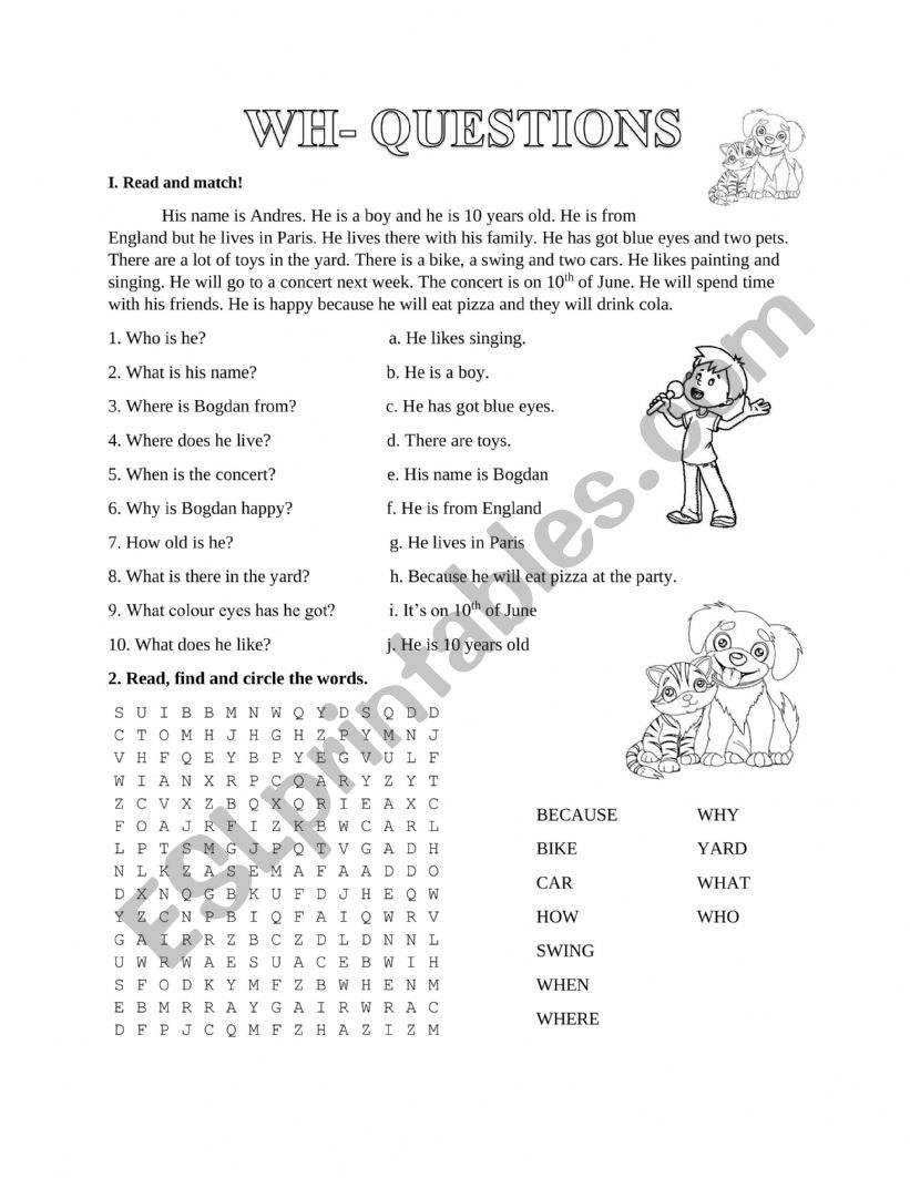 Wh - questions worksheet