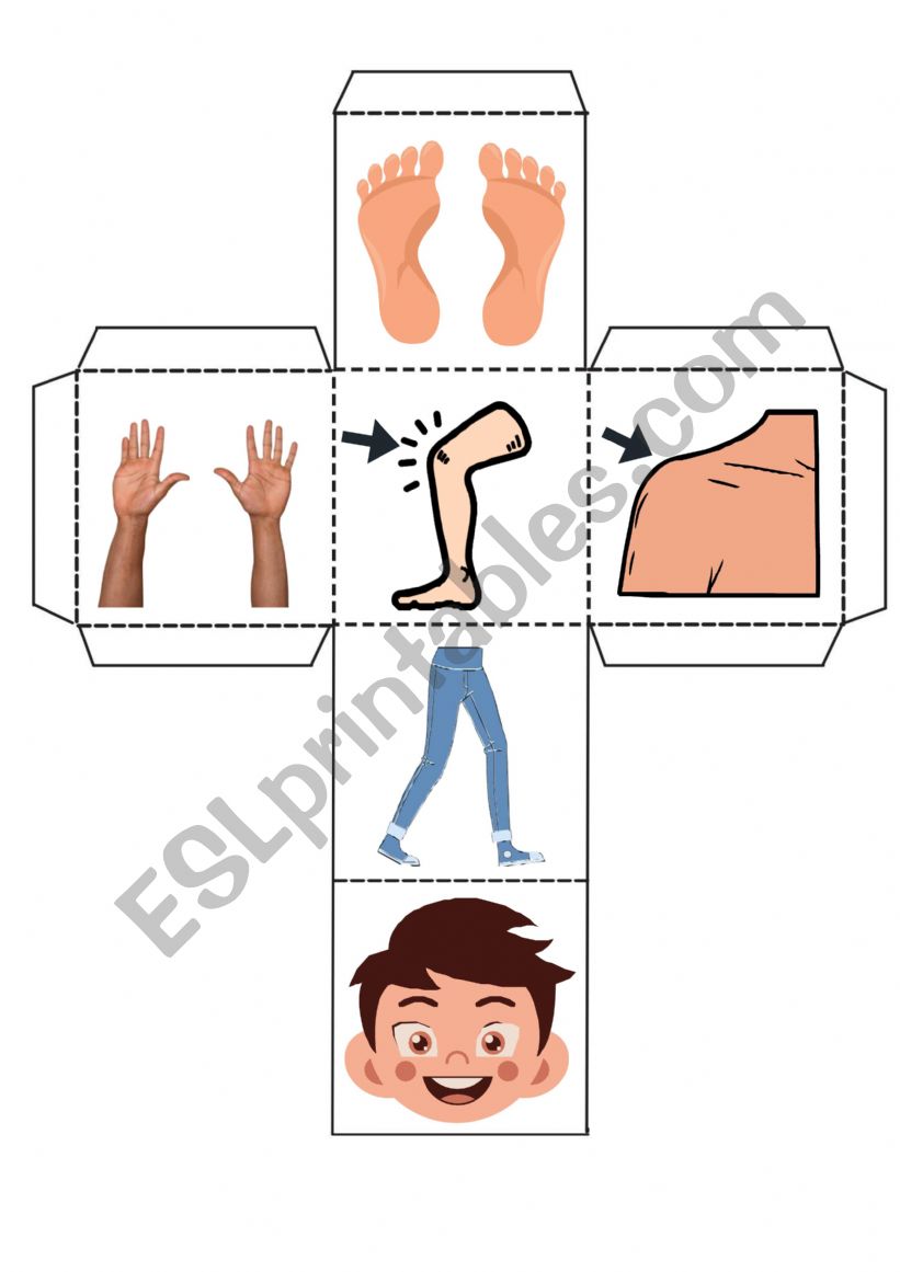 parts of the body  worksheet