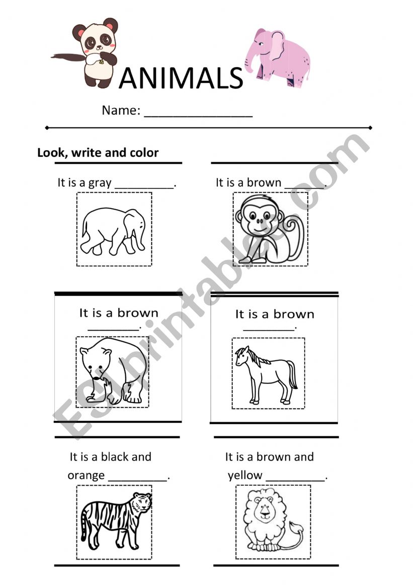 animals worksheet