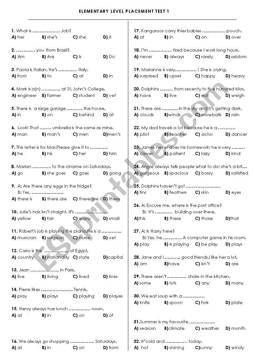 AN ELEMENTARY LEVEL TEST worksheet