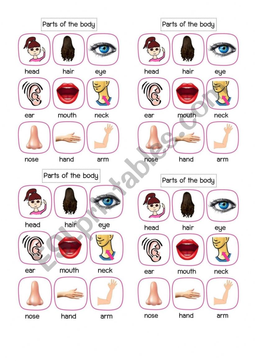 food worksheet