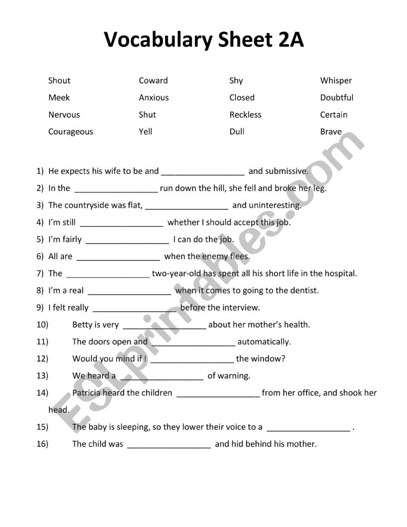 Vocabulary Worksheet 2A worksheet