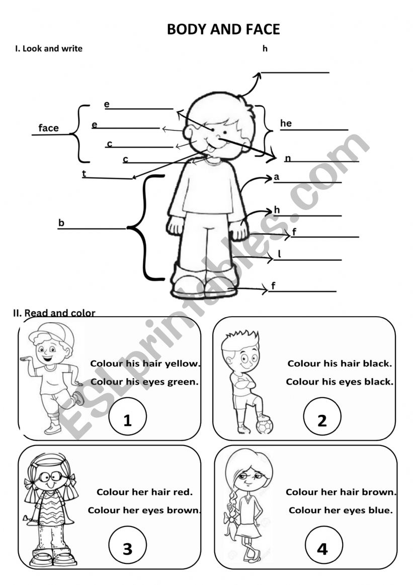 Body and face worksheet