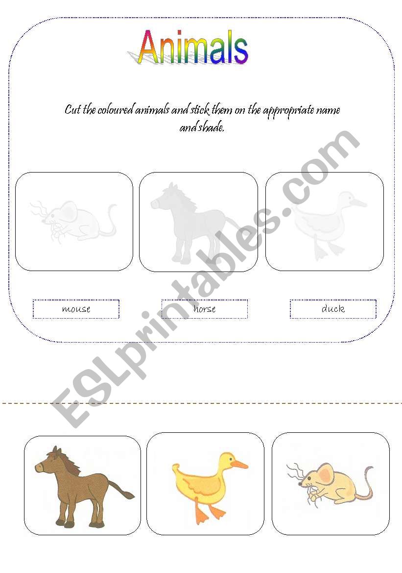 animals - for young learners 2