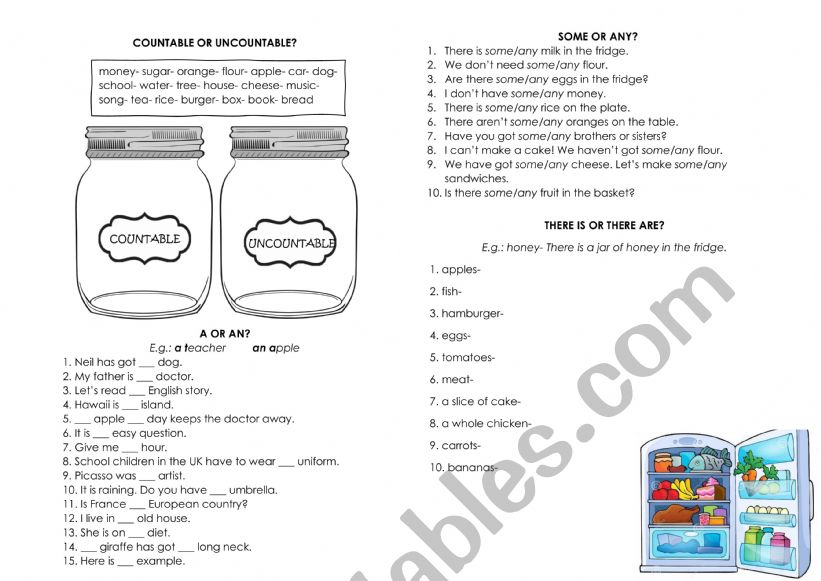 Countable Uncountable worksheet