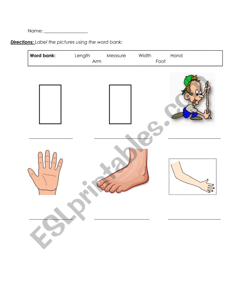 Measuring Parts of the Body worksheet