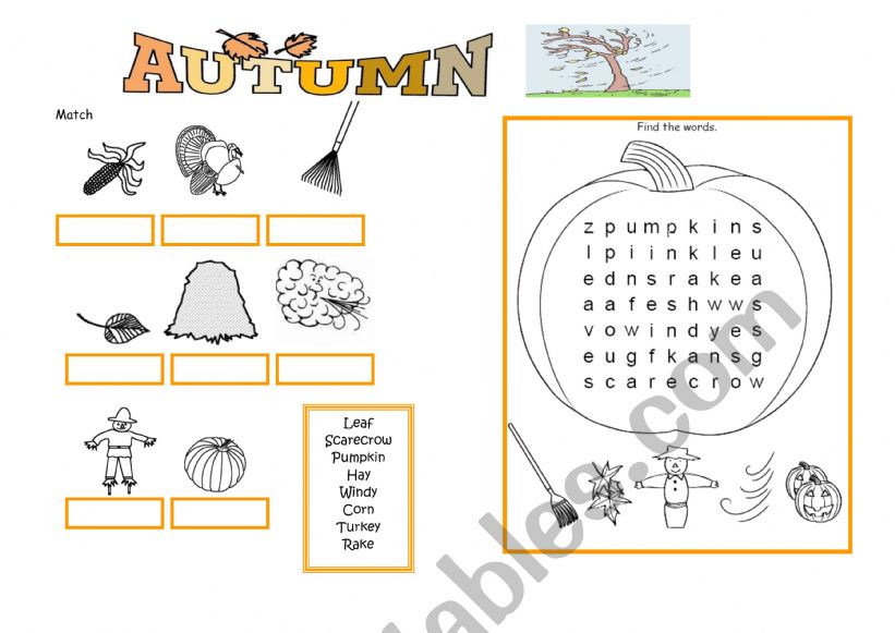 Fall worksheet