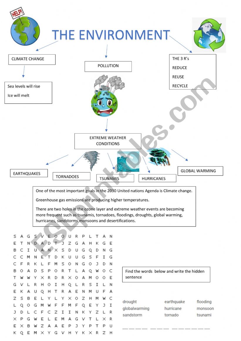 The environment worksheet