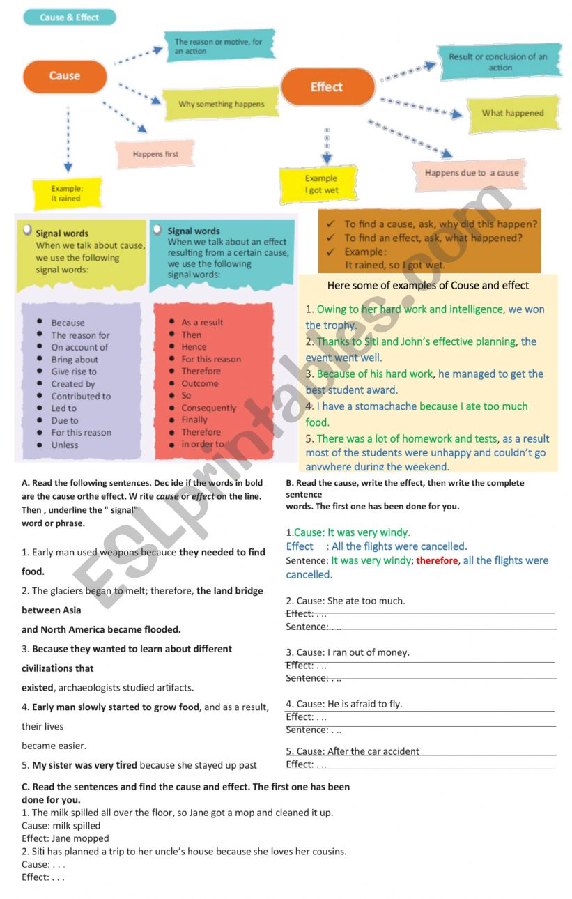 cause and effect worksheet