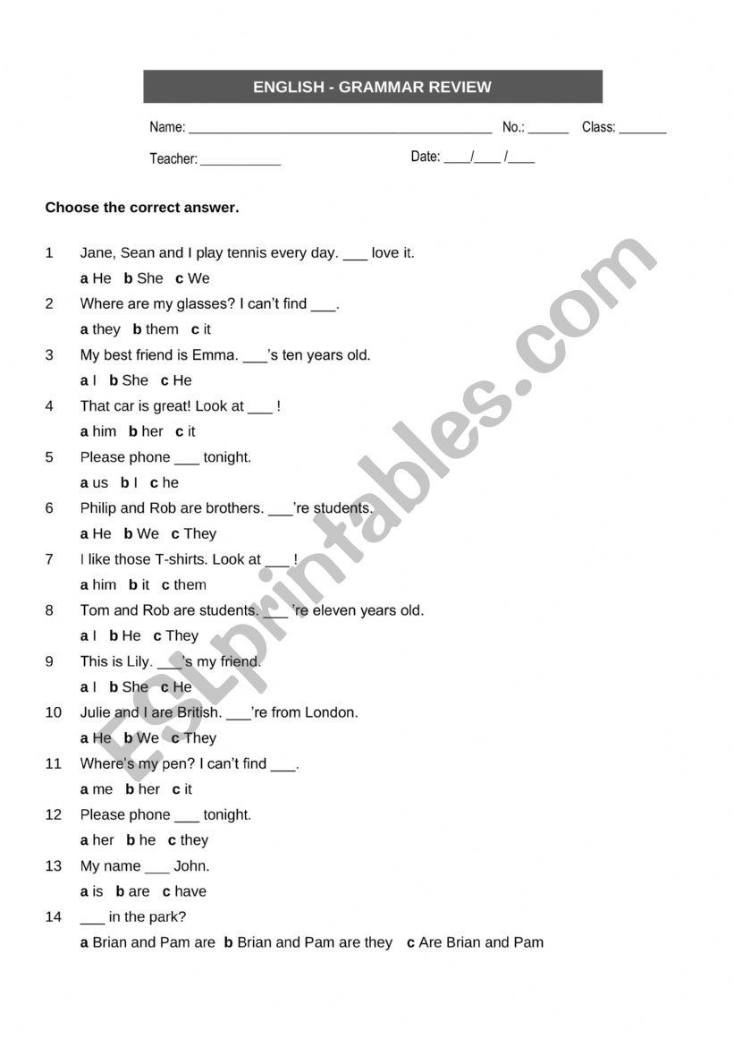 Grammar Review worksheet