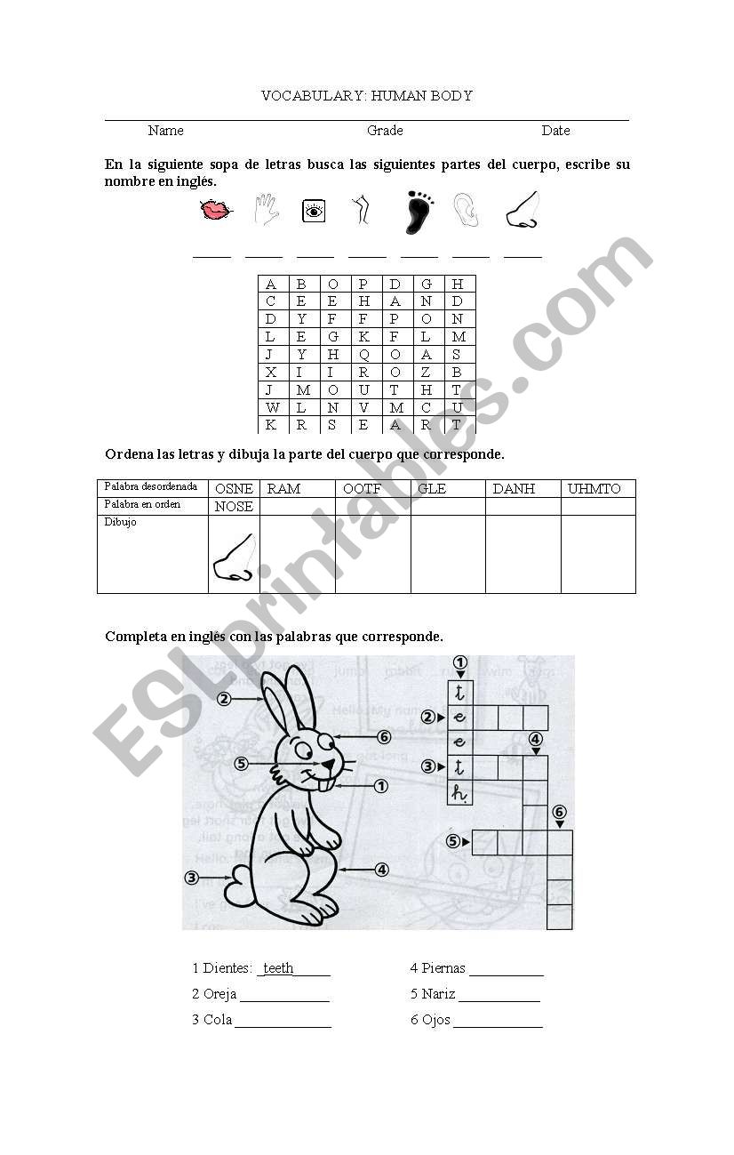 body_parts_simple worksheet