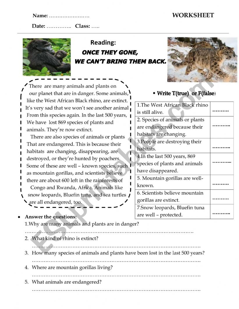 Endangered animals worksheet