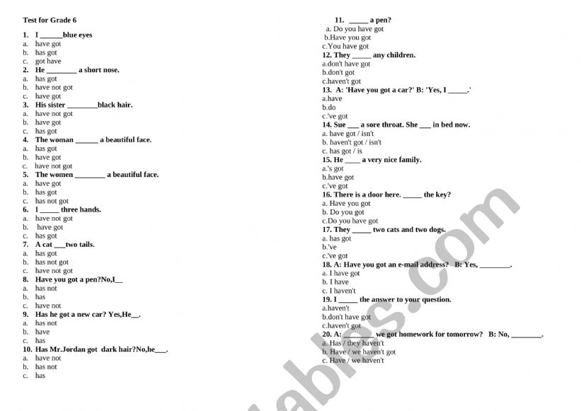 Have got has got worksheet