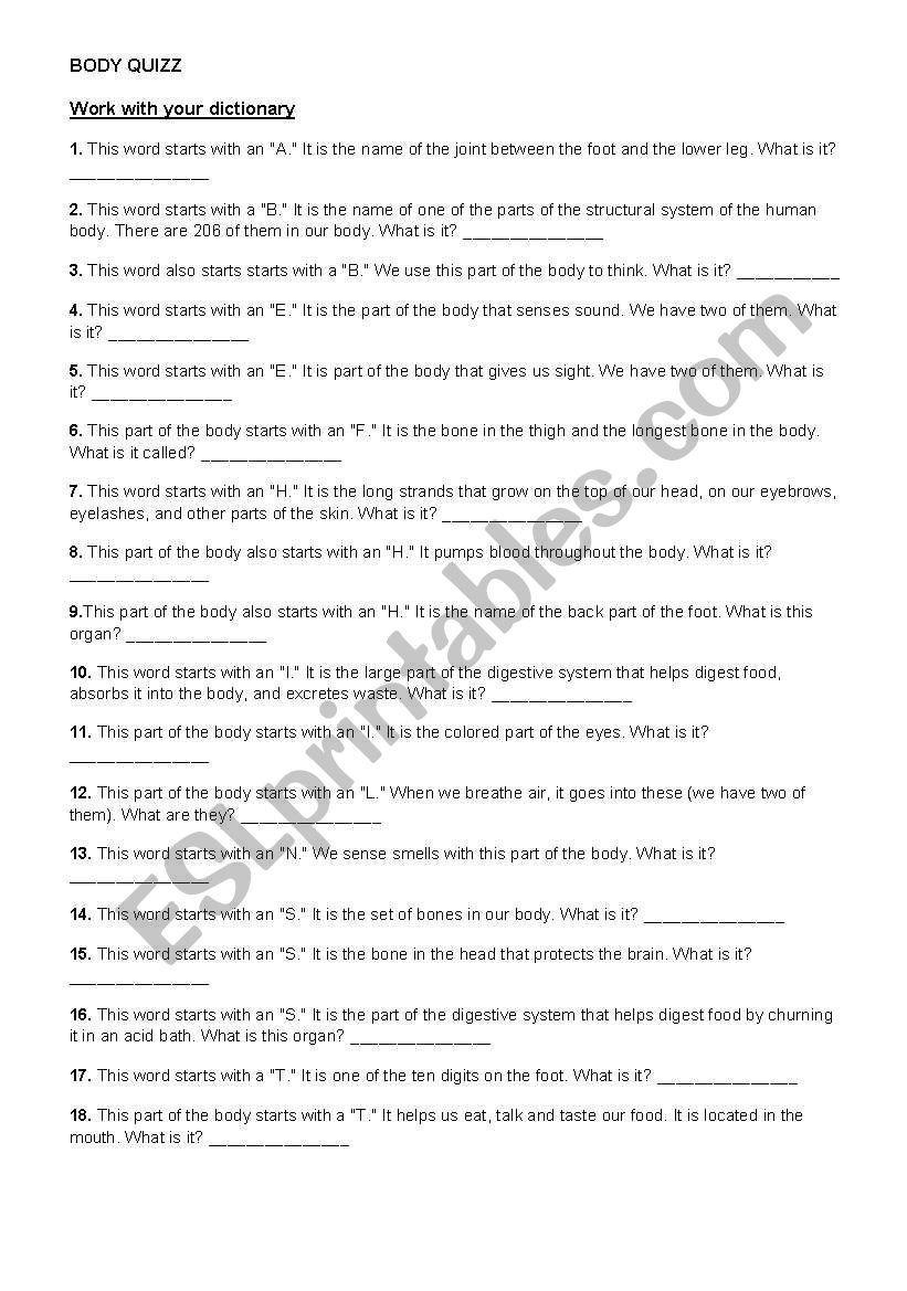body quiz worksheet