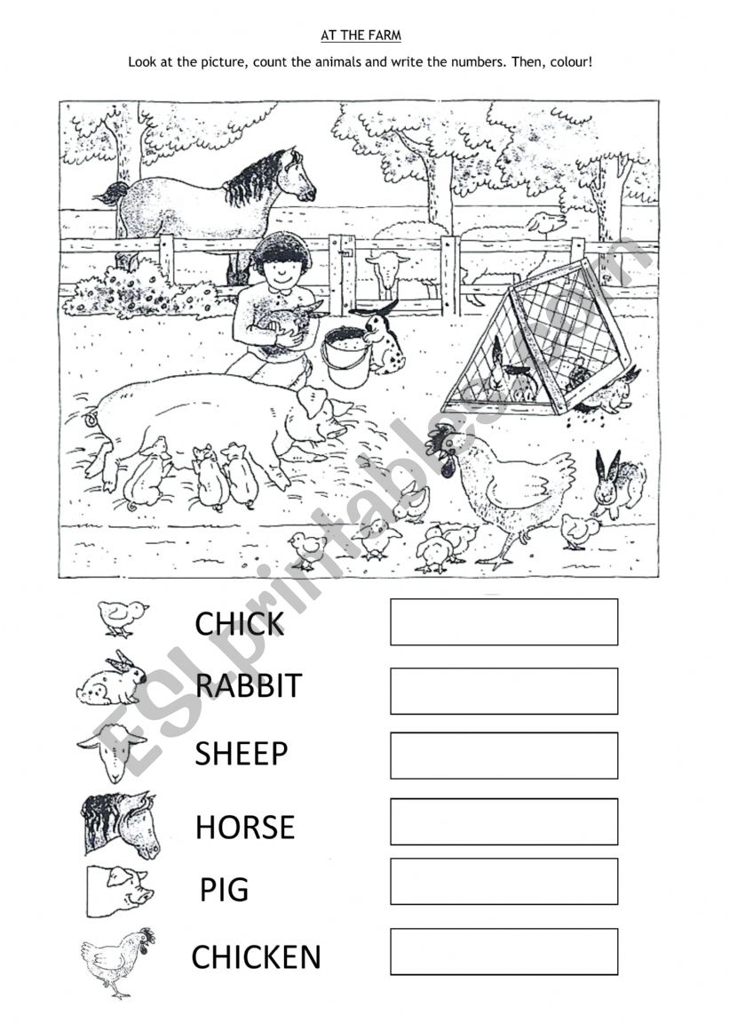 At the farm worksheet