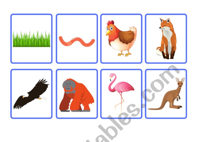 iWonder 4 unit 2 vocabulary flashcards animal survival part 1